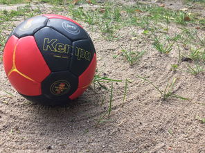 九游娱乐电竞站-利雅得胜利主场大胜，C罗贡献一传一射，利雅得足球  第4张